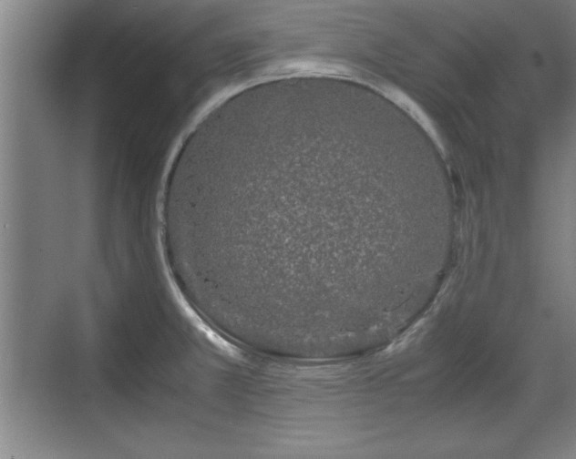 X0000071781381200607071418