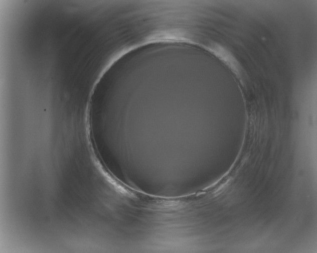 X0000071781382200607071418