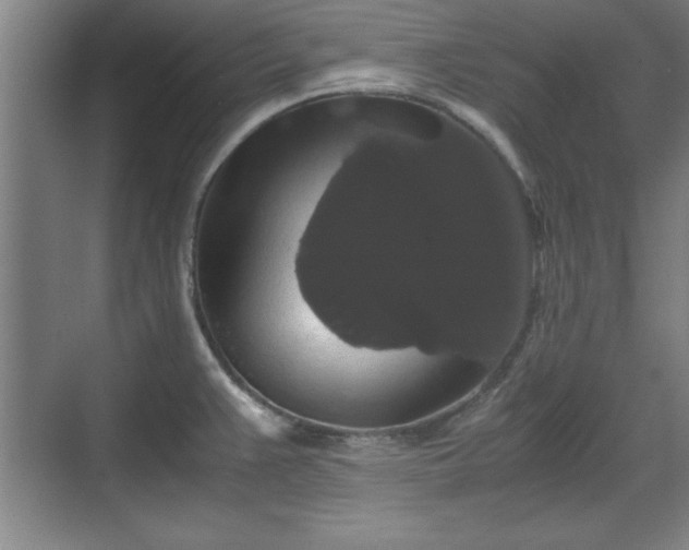 X0000071781383200607071418