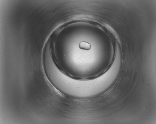 X0000071781384200607071418