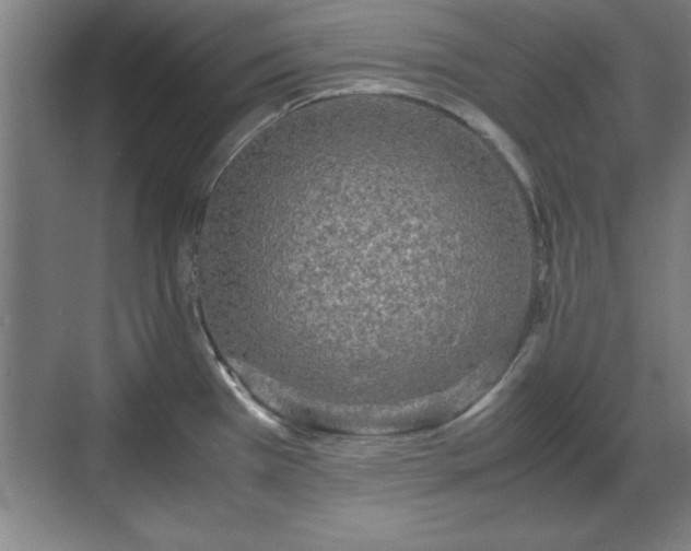 X0000071781385200607071418