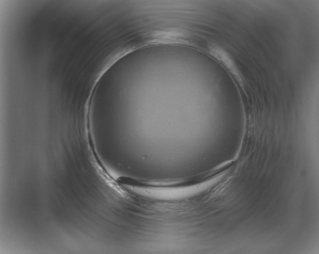 X0000071781386200607071418