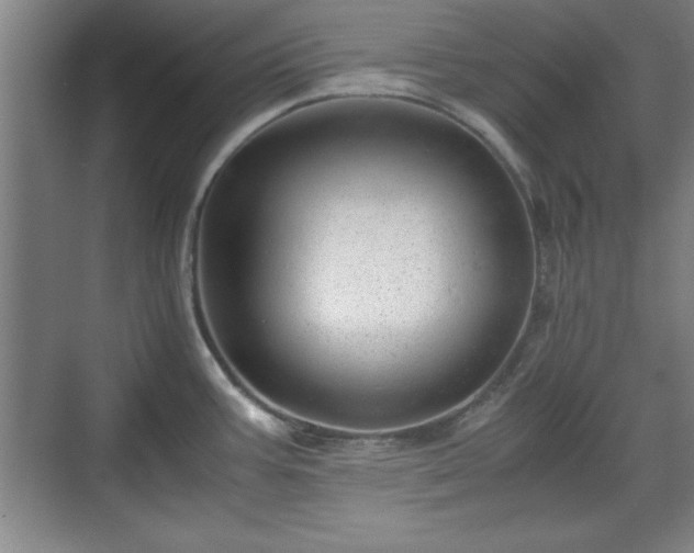 X0000071781387200607071418