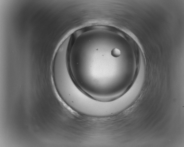 X0000071781389200607071418