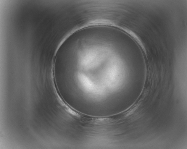 X0000071781390200607071418