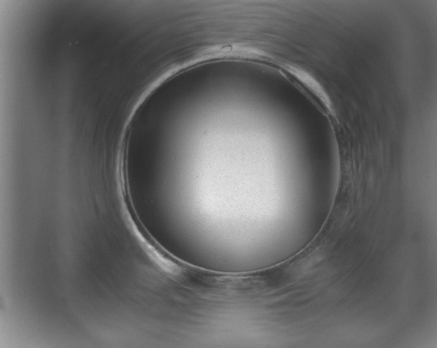 X0000071781391200607071418