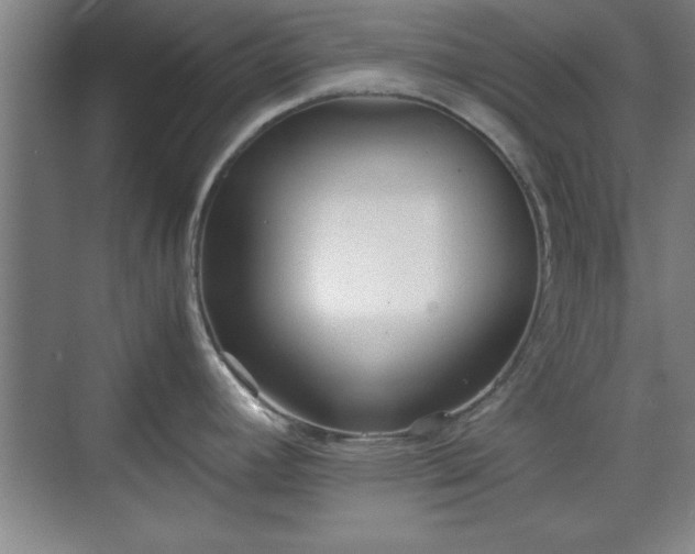 X0000071781392200607071418