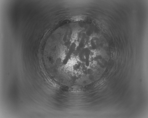 X0000071781393200607071418