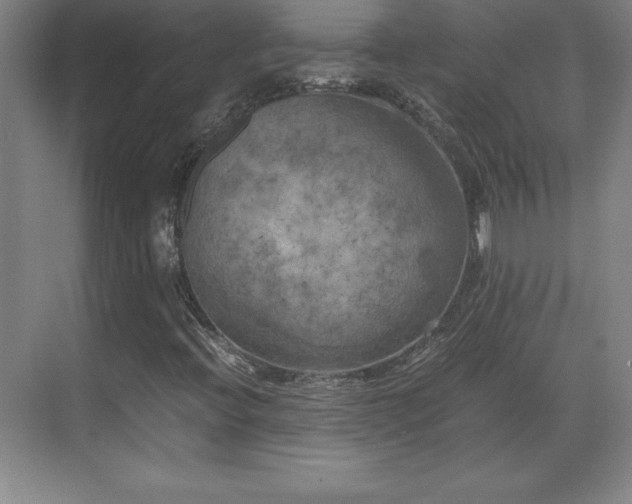 X0000071781396200607071418