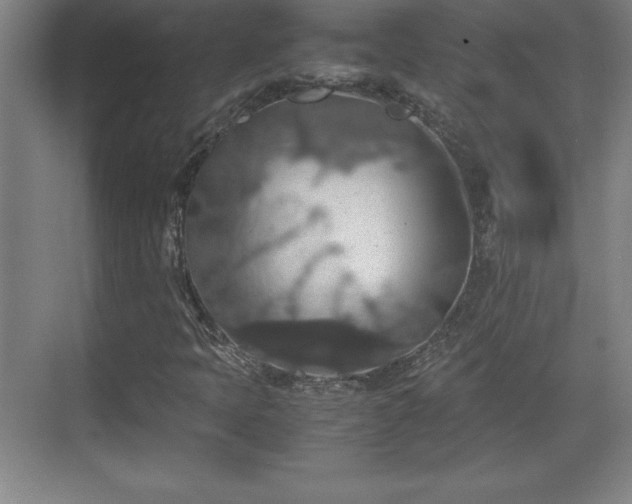 X0000071781397200607071418