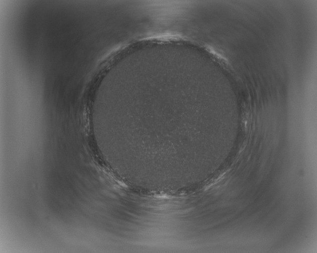 X0000071781398200607071418