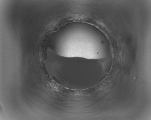 X0000071781399200607071418