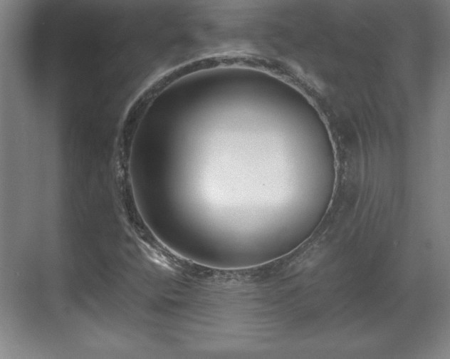 X0000071781400200607071418