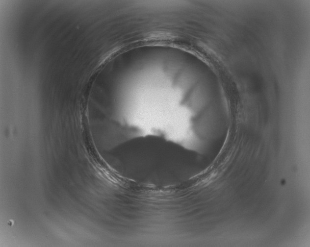 X0000071781401200607071418