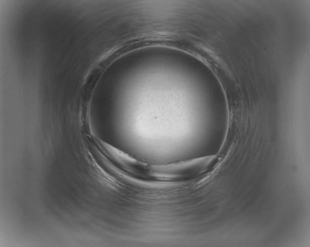 X0000071781402200607071418