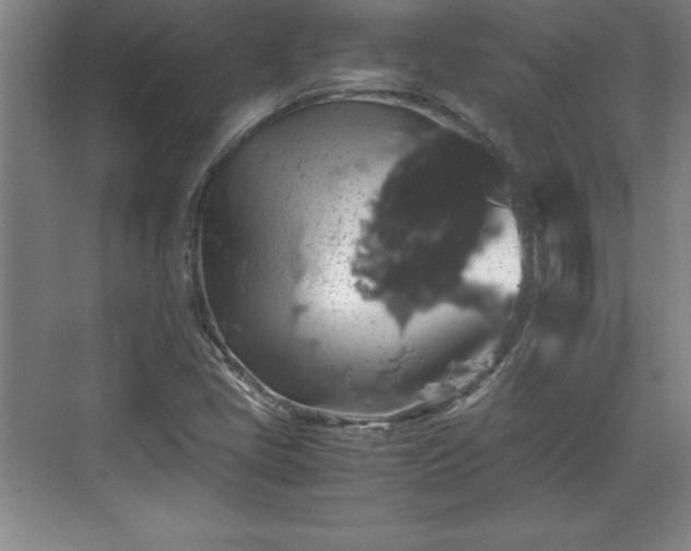 X0000071781405200607071418