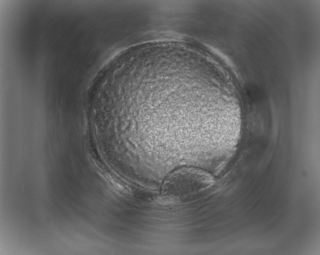 X0000071781407200607071418