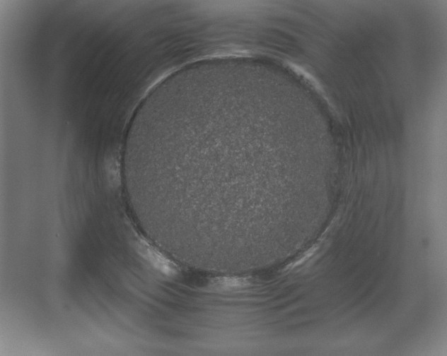 X0000071781409200607071418