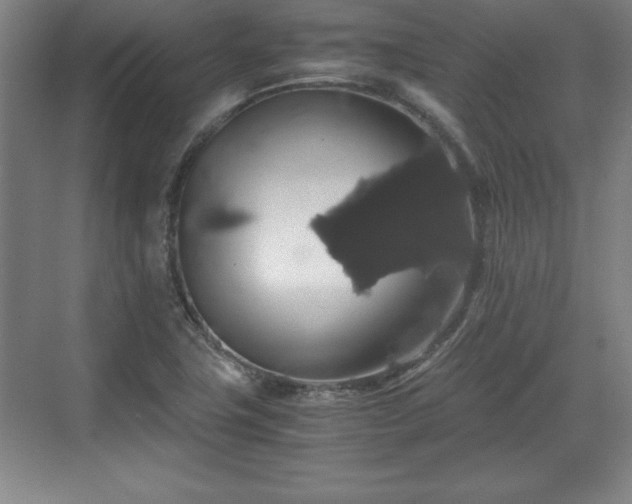 X0000071781411200607071418