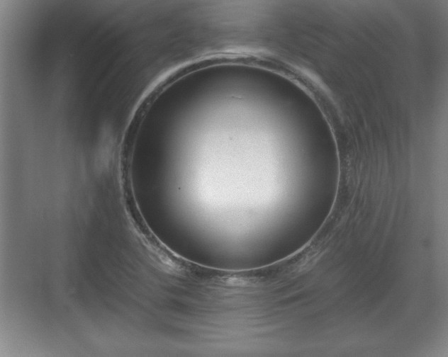 X0000071781412200607071418