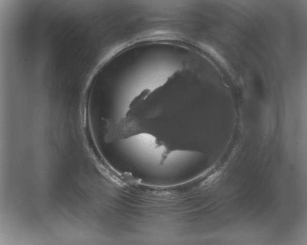 X0000071781413200607071418