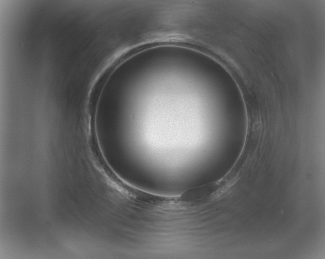 X0000071781414200607071418