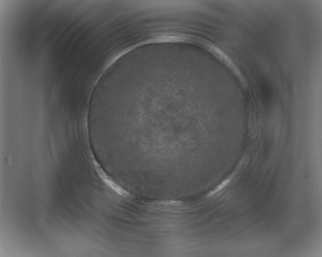 X0000071781417200607071418