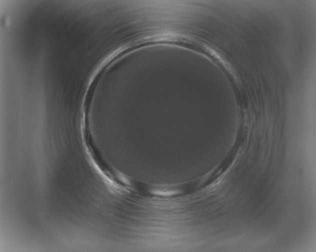 X0000071781418200607071418