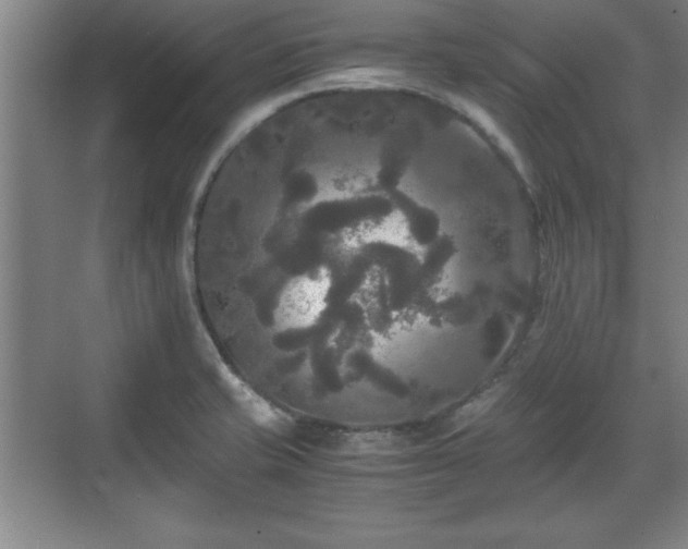 X0000071781421200607071418