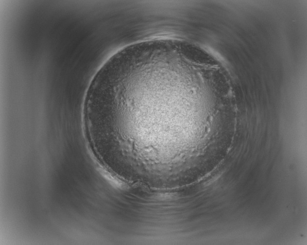 X0000071781423200607071418