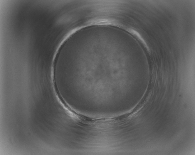 X0000071781424200607071418