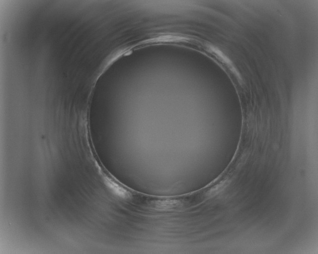 X0000071781425200607071418