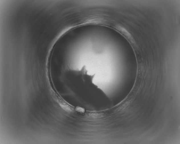 X0000071781427200607071418