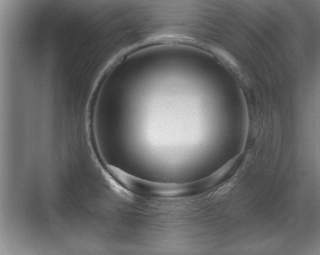 X0000071781430200607071418