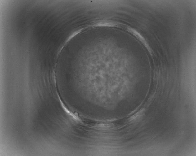 X0000071781433200607071418