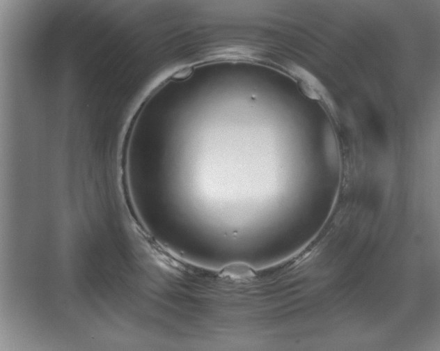 X0000071781435200607071418