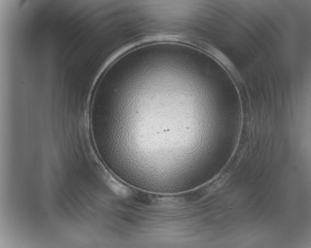 X0000071781436200607071418