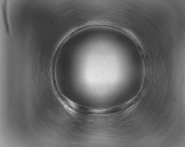 X0000071781438200607071418