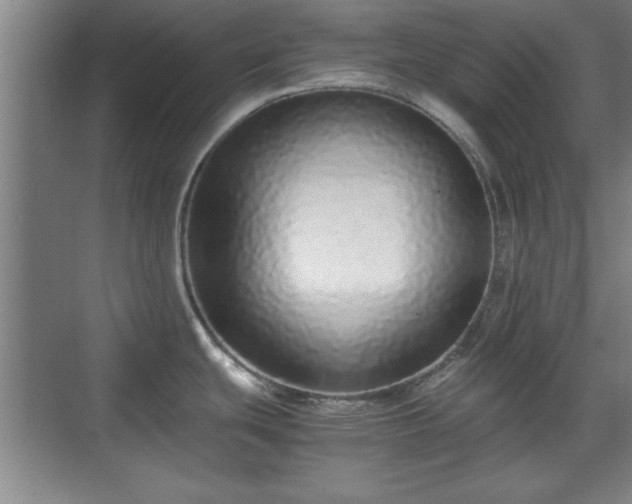 X0000071781439200607071418