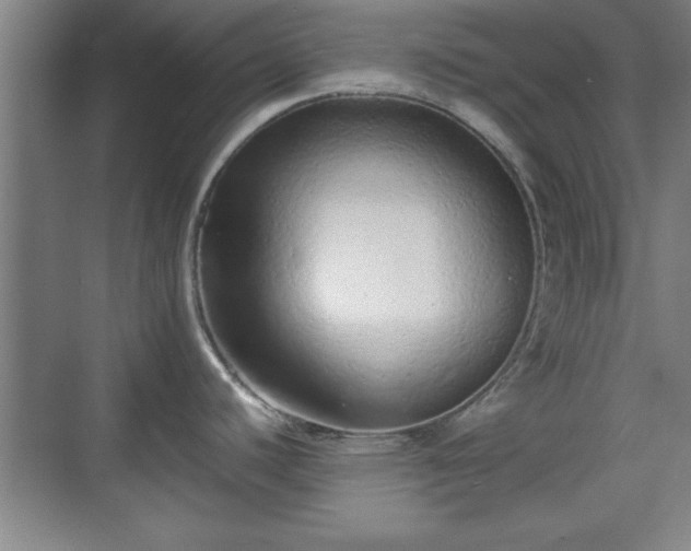 X0000071781440200607071418