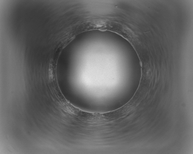 X0000071781442200607071417