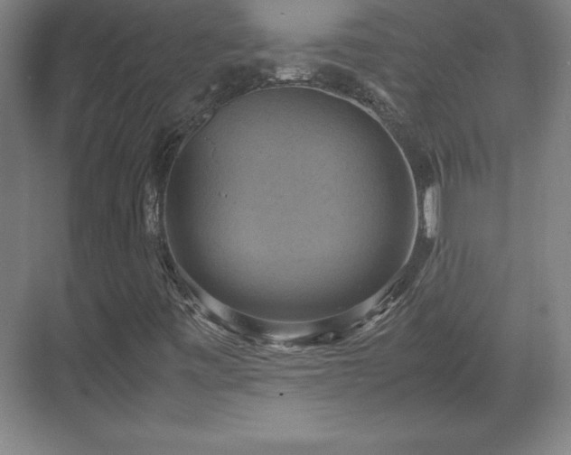 X0000071781443200607071417