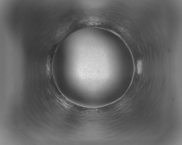 X0000071781444200607071417