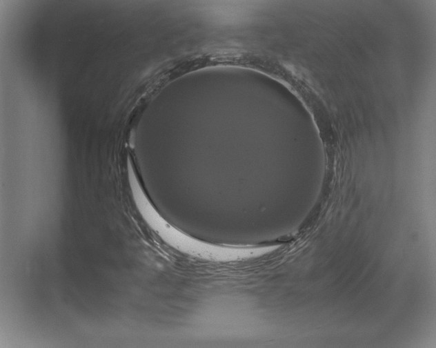 X0000071781445200607071417