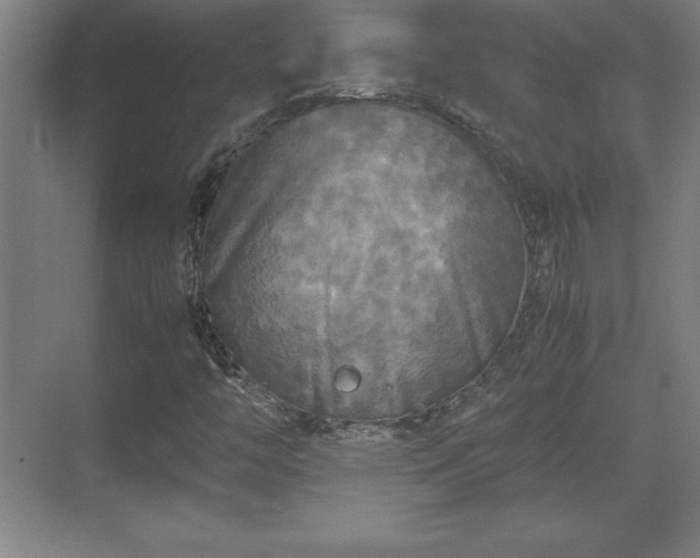 X0000071781446200607071417