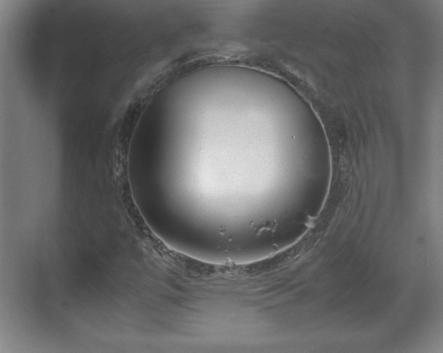 X0000071781447200607071417