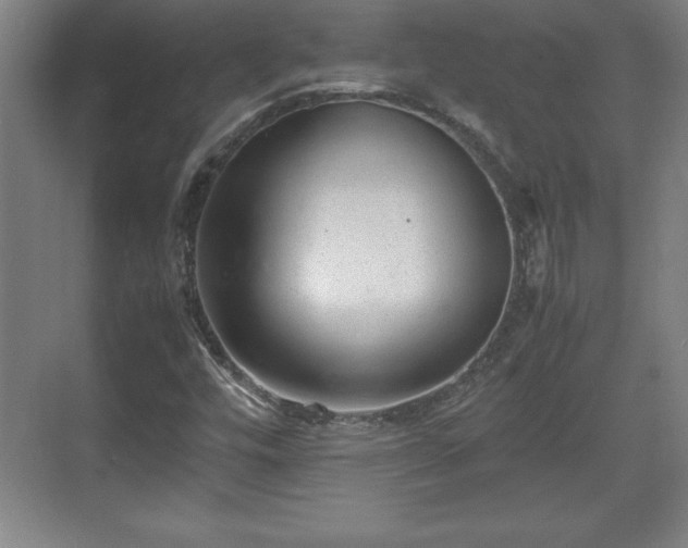 X0000071781448200607071417