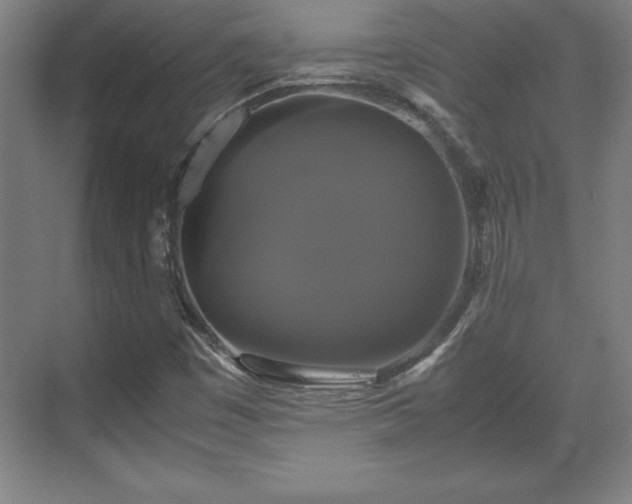 X0000071781449200607071417