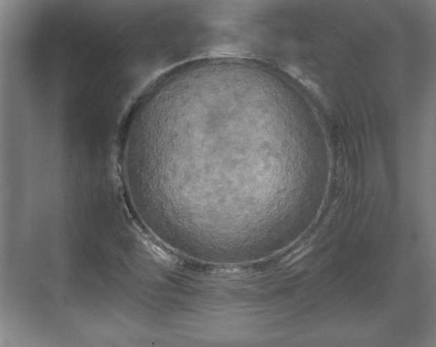 X0000071781454200607071417