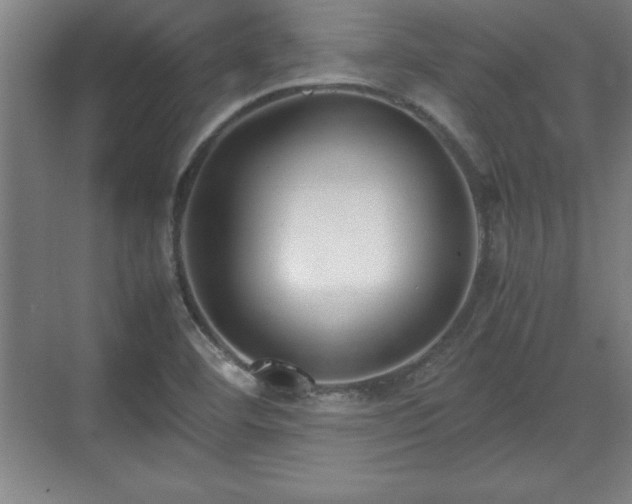 X0000071781460200607071417